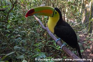 Belize Zoo - Belize