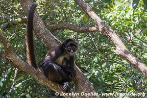 Belize Zoo - Belize