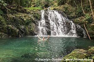 Mayflower Bocawina National Park - Belize