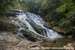 Mayflower Bocawina National Park - Belize