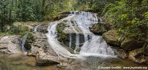 Mayflower Bocawina National Park - Belize