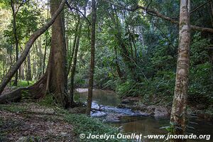 Rio Frio Cave - Mountain Pine Ridge Forest Reserve - Belize