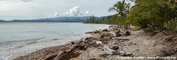 Cahuita National Park - Costa Rica