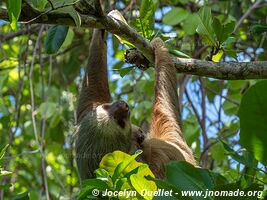 Cahuita - Costa Rica