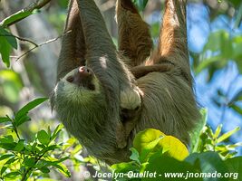 Cahuita - Costa Rica