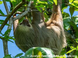 Cahuita - Costa Rica