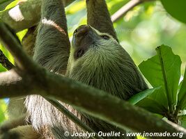 Cahuita - Costa Rica