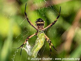 Cahuita - Costa Rica