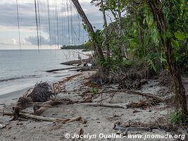 Cahuita National Park - Costa Rica