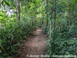 Cahuita National Park - Costa Rica