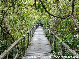 Parc national Cahuita - Costa Rica