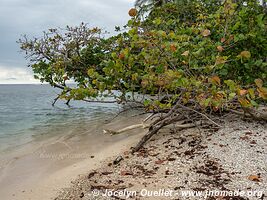 Cahuita National Park - Costa Rica