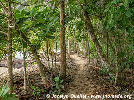 Parc national Cahuita - Costa Rica