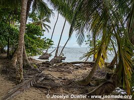 Cahuita National Park - Costa Rica