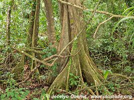 Parc national Cahuita - Costa Rica