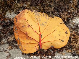 Cahuita National Park - Costa Rica