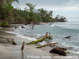 Parc national Cahuita - Costa Rica