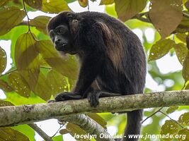 Cahuita National Park - Costa Rica