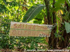 Cahuita - Costa Rica