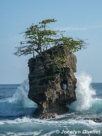 Manzanillo - Costa Rica