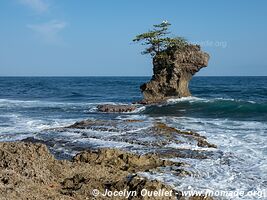 Manzanillo - Costa Rica