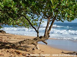 Manzanillo - Costa Rica