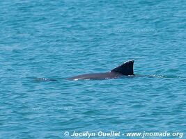 Puerto Viejo - Costa Rica