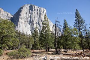 Parc national de Yosemite - Californie - États-Unis