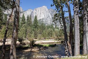 Parc national de Yosemite - Californie - États-Unis