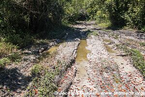 Parc national Yaxhá Narum Naranjo - Guatemala