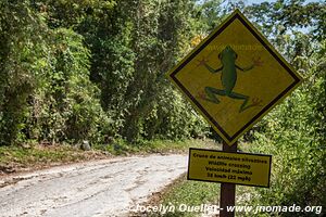 Parc national Yaxhá Narum Naranjo - Guatemala