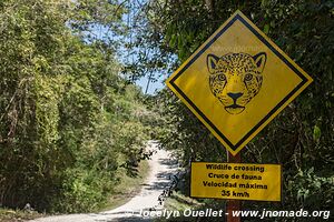 Parc national Yaxhá Narum Naranjo - Guatemala