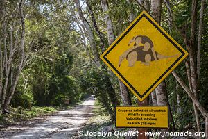 Parc national Yaxhá Narum Naranjo - Guatemala