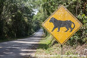 Route vers Tikal - Guatemala