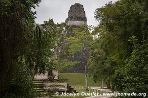 Parque Nacional Tikal - Guatemala