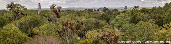 Parque Nacional Tikal - Guatemala