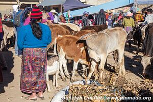 San Francisco El Alto - Guatemala