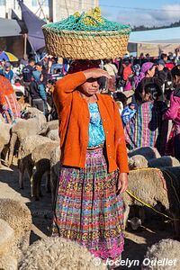 San Francisco El Alto - Guatemala