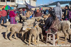 San Francisco El Alto - Guatemala