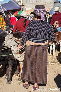 San Francisco El Alto - Guatemala