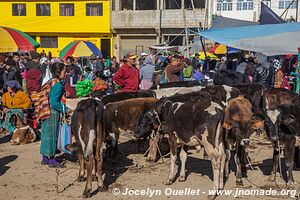 San Francisco El Alto - Guatemala