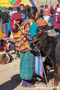 San Francisco El Alto - Guatemala