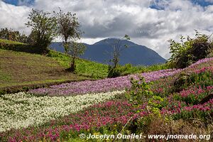 Cerro Quemado - Quetzaltenango - Guatemala