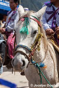 Todo Santos Cuchumatán - Guatemala