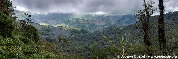 Biotopo del Quetzal - Verapaz - Guatemala