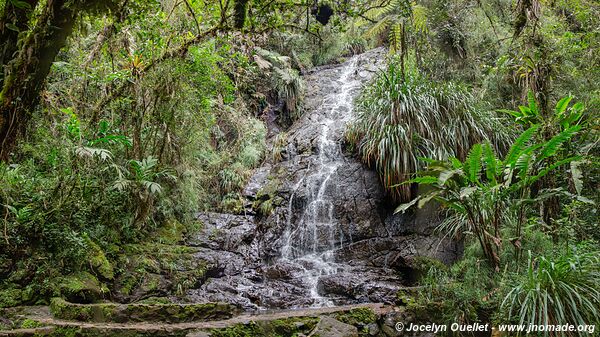 Biotopo del Quetzal - Verapaz - Guatemala