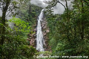 Salo de Chilascó - Verapaz - Guatemala