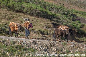 Région près de San Mateo Ixtatán - Guatemala