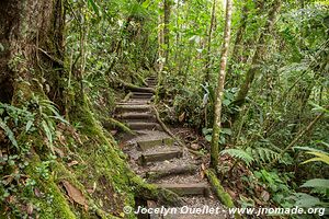 Biotopo del Quetzal - Verapaz - Guatemala