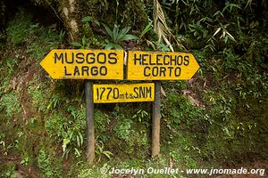 Biotopo del Quetzal - Verapaz - Guatemala